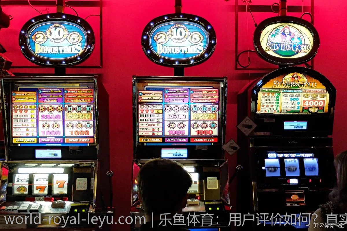 乐鱼体育:用户评价如何?真实反馈一览