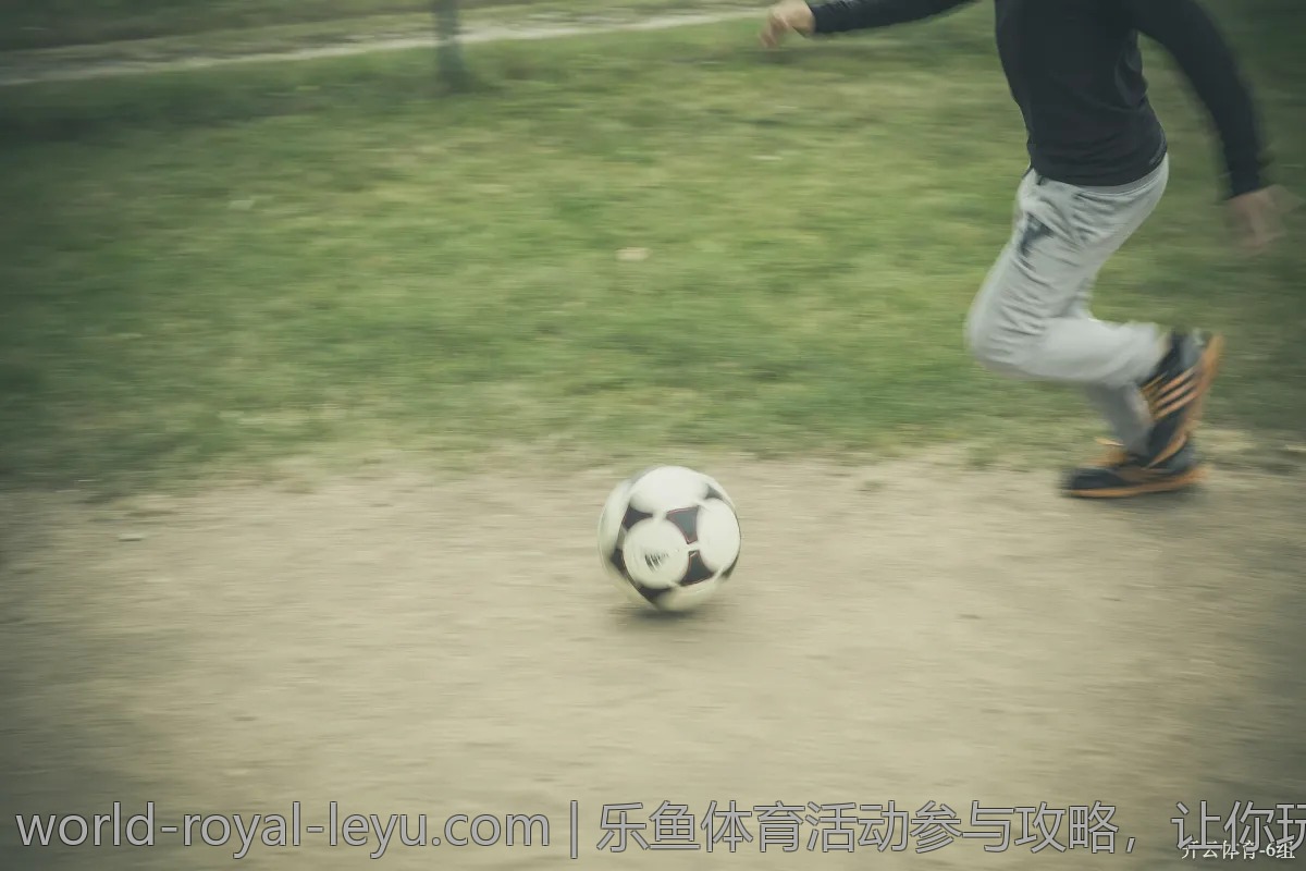 乐鱼体育活动参与攻略,让你玩得更尽兴