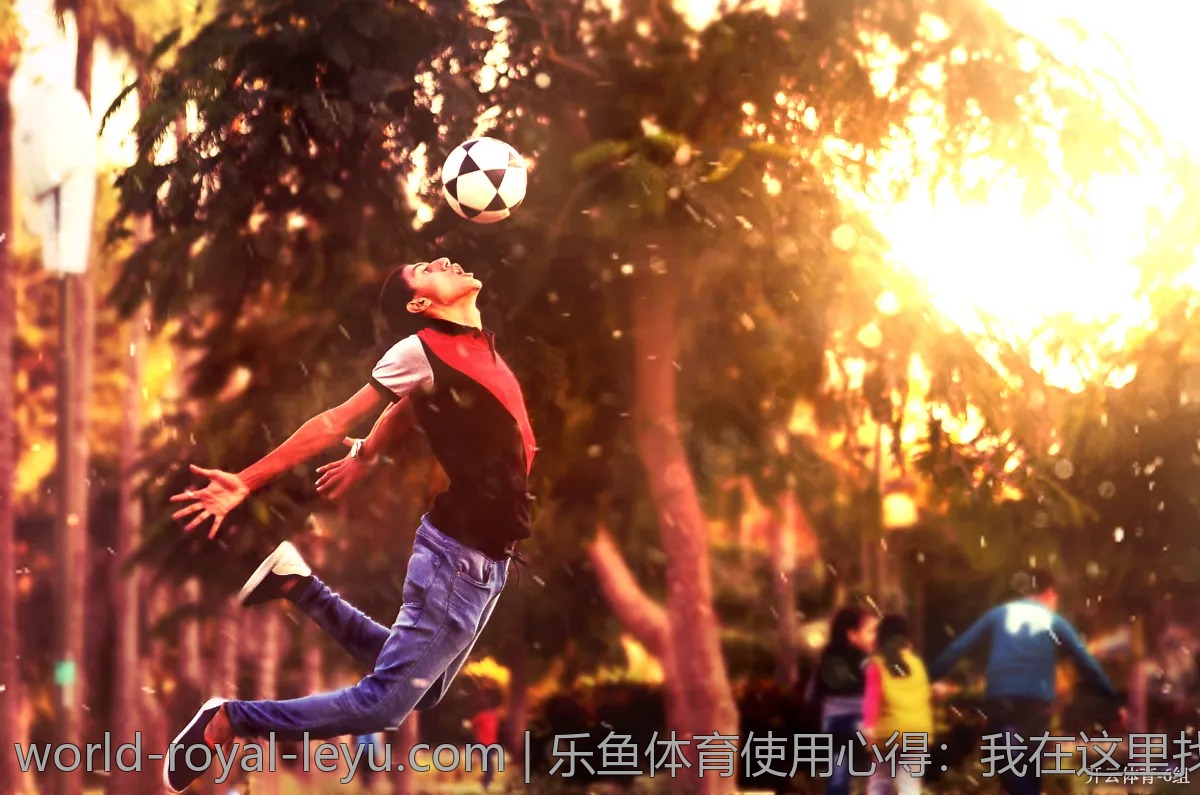 乐鱼体育使用心得：我在这里找到了乐趣