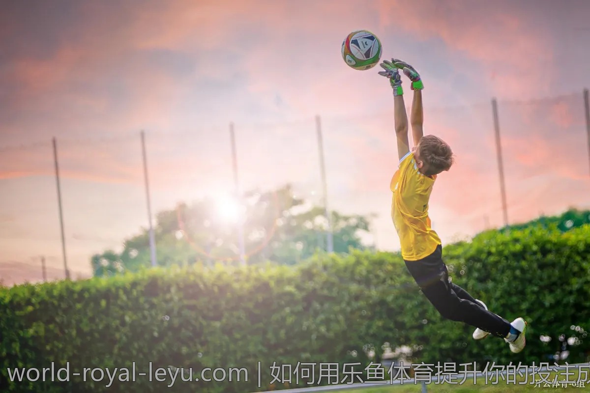 如何用乐鱼体育提升你的投注成功率